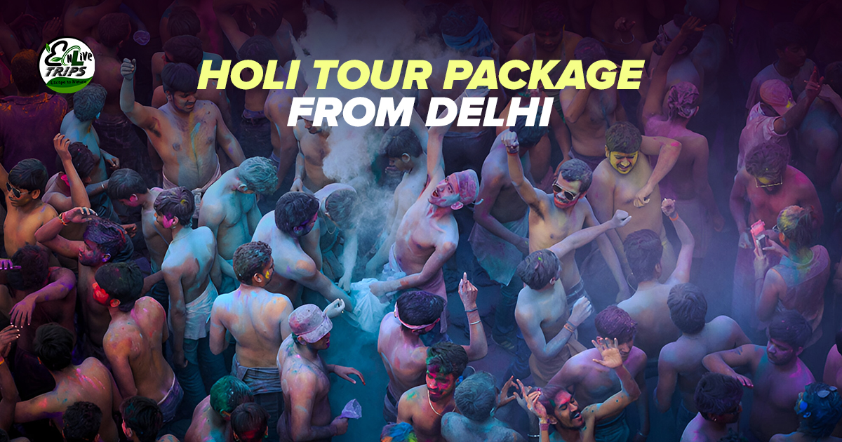 Pushkar Holi Tour Package from Delhi 2025